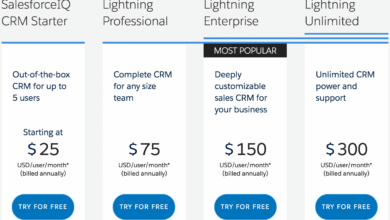 Salesforce CRM cost: Understanding Pricing Models and Cost Factors